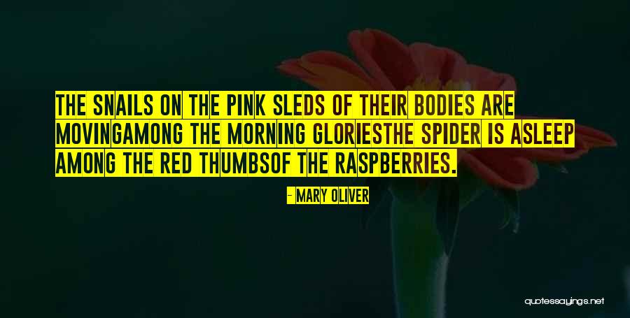 Kababayan Tinapay Quotes By Mary Oliver Kababayan Tinapay Quotes By Mary Oliver