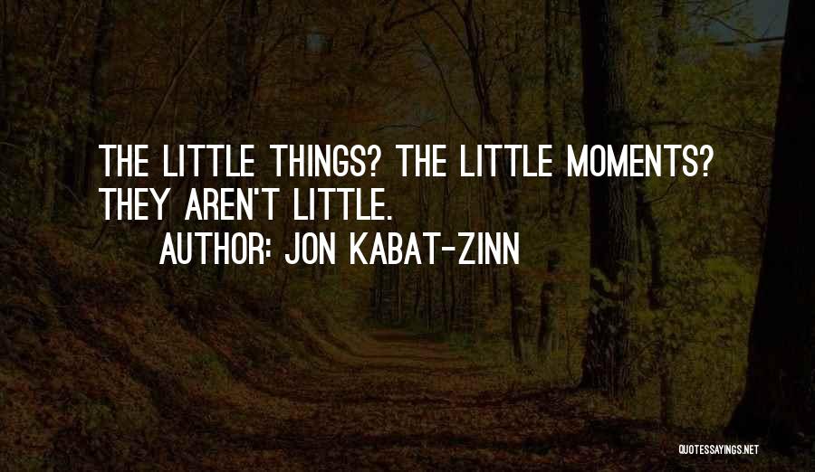 Kabat Zinn Quotes By Jon Kabat-Zinn