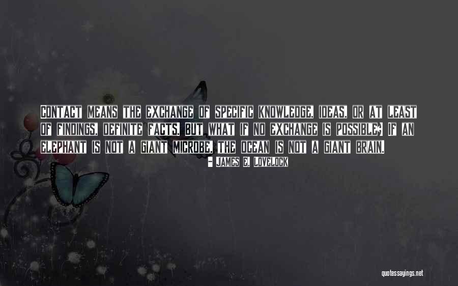 Kabbani Property Quotes By James E. Lovelock Kabbani Property Quotes By James E. Lovelock
