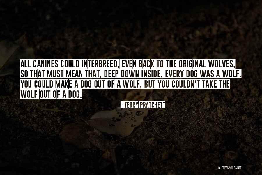 Kabrina Moonbear Quotes By Terry Pratchett Kabrina Moonbear Quotes By Terry Pratchett