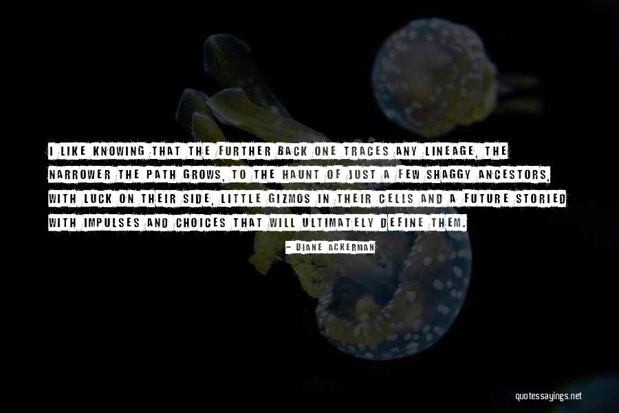 Kadangkala Atau Quotes By Diane Ackerman Kadangkala Atau Quotes By Diane Ackerman