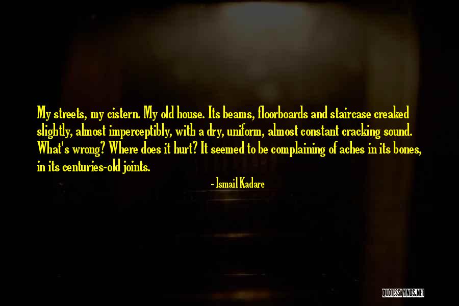 Kadare Ismail Quotes By Ismail Kadare Kadare Ismail Quotes By Ismail Kadare