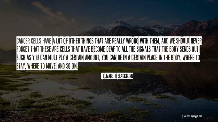 Kadholu Quotes By Elizabeth Blackburn Kadholu Quotes By Elizabeth Blackburn