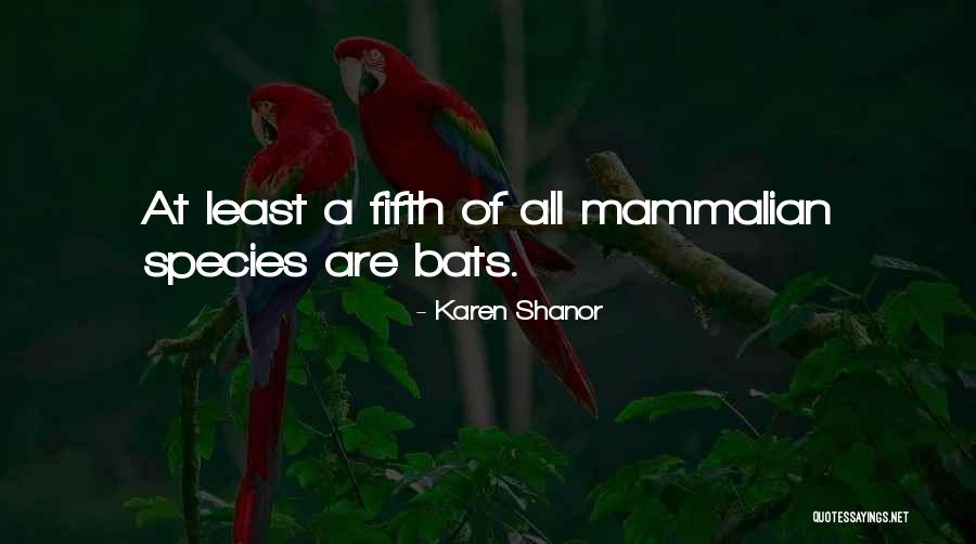 Kadiatou Best Quotes By Karen Shanor Kadiatou Best Quotes By Karen Shanor