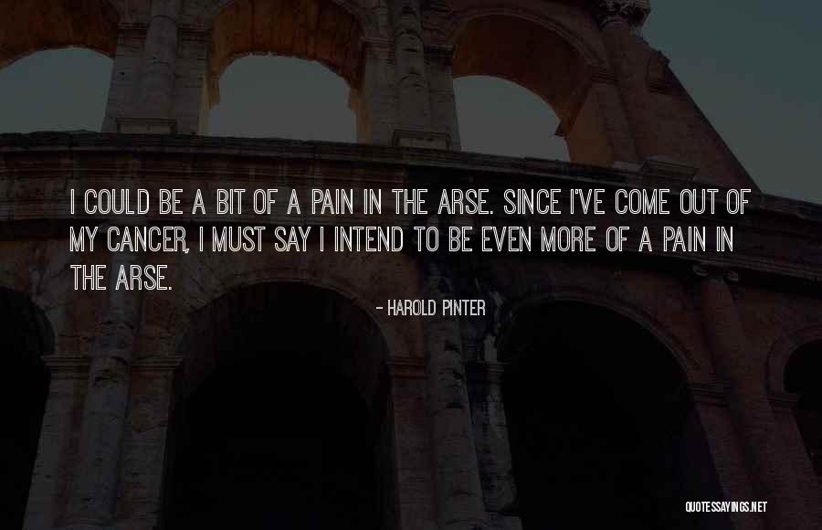 Kadidia Thiero Quotes By Harold Pinter Kadidia Thiero Quotes By Harold Pinter