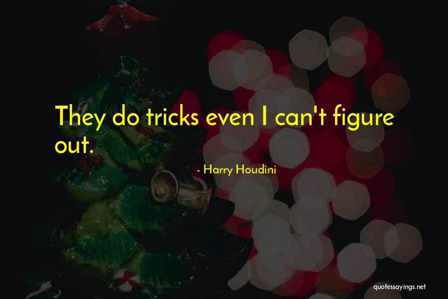 Kadivar Family Medicine Quotes By Harry Houdini Kadivar Family Medicine Quotes By Harry Houdini