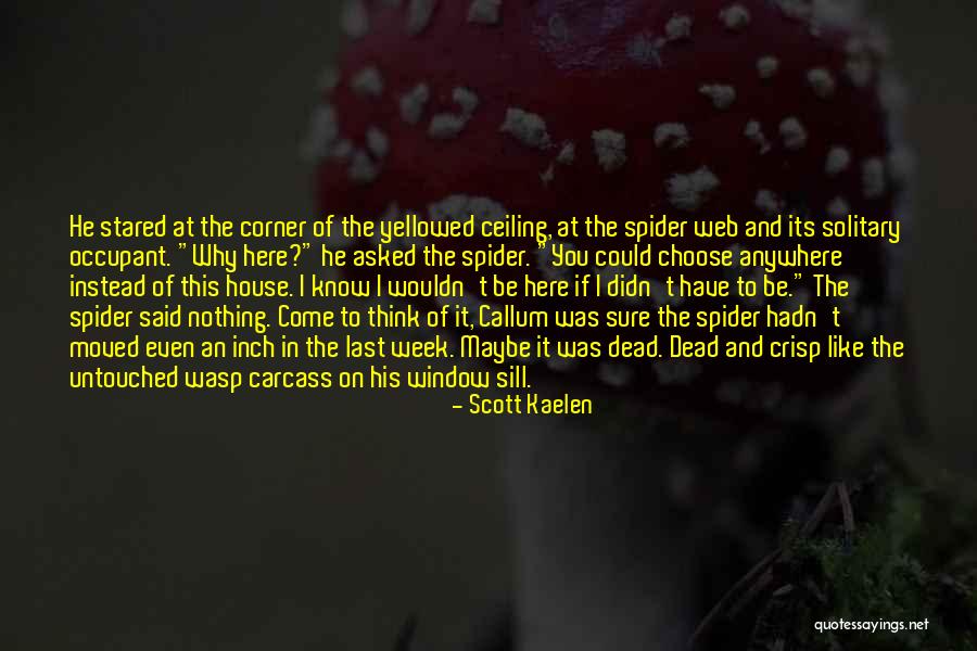 Kaelen Quotes By Scott Kaelen Kaelen Quotes By Scott Kaelen