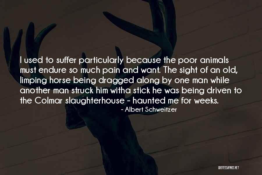 Kaelinn Krueger Quotes By Albert Schweitzer Kaelinn Krueger Quotes By Albert Schweitzer