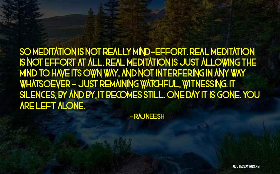 Kaenel Gayle Quotes By Rajneesh Kaenel Gayle Quotes By Rajneesh