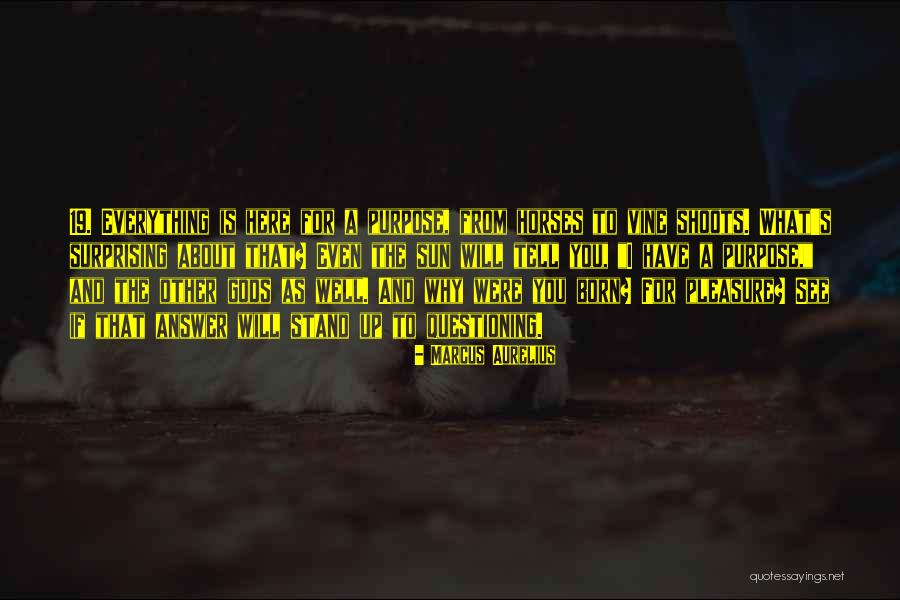 Kafana Jugoslavija Quotes By Marcus Aurelius Kafana Jugoslavija Quotes By Marcus Aurelius