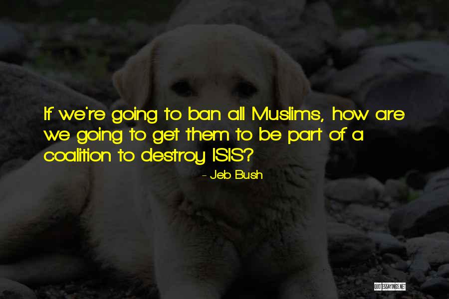 Kaffeine Tv Quotes By Jeb Bush Kaffeine Tv Quotes By Jeb Bush