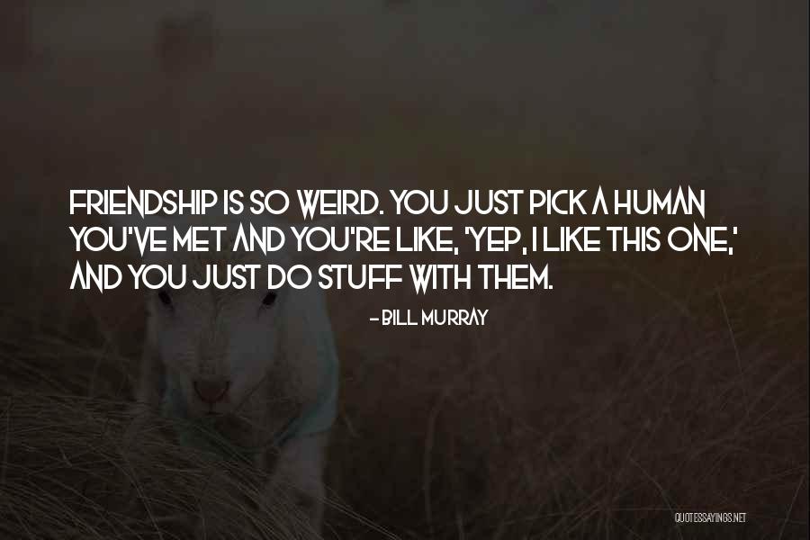 Kafirs In Islam Quotes By Bill Murray Kafirs In Islam Quotes By Bill Murray