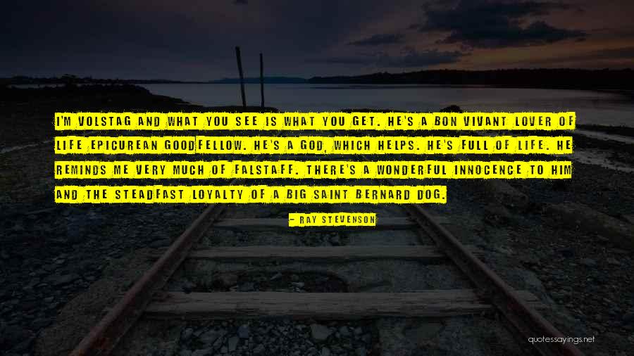 Kafiyeli Laflar Quotes By Ray Stevenson Kafiyeli Laflar Quotes By Ray Stevenson