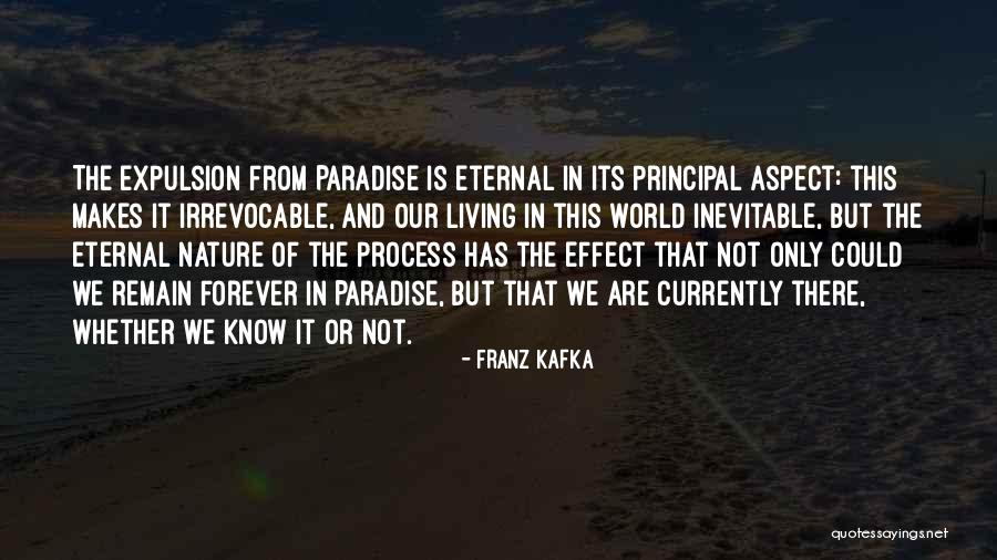 Kafka The Process Quotes By Franz Kafka Kafka The Process Quotes By Franz Kafka