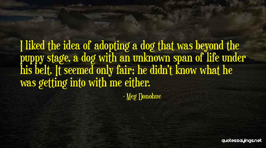 Kageyama Hot Quotes By Meg Donohue Kageyama Hot Quotes By Meg Donohue
