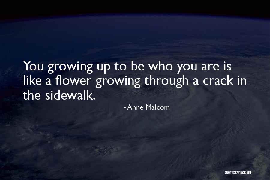 Kaghati Quotes By Anne Malcom Kaghati Quotes By Anne Malcom
