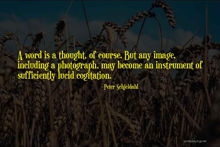 Kahana Quotes By Peter Schjeldahl Kahana Quotes By Peter Schjeldahl