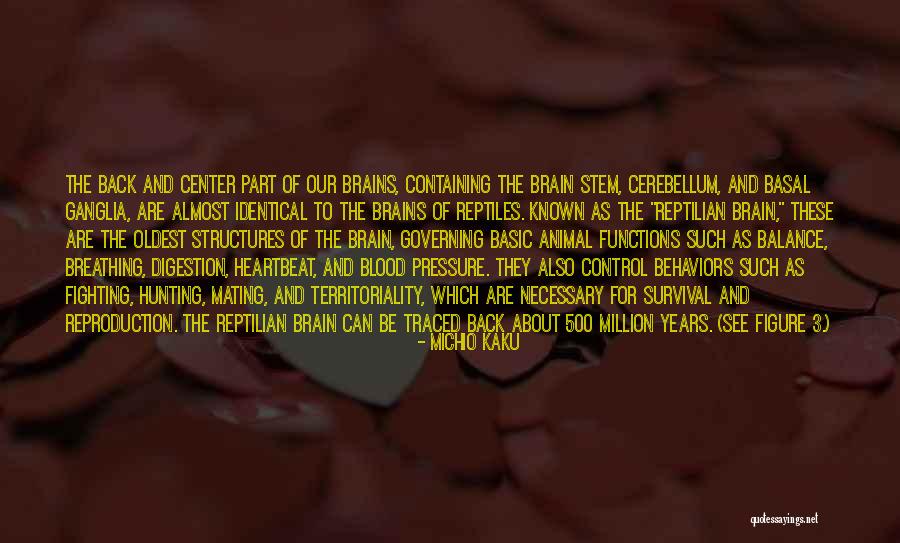 Kahinaan Quotes By Michio Kaku Kahinaan Quotes By Michio Kaku