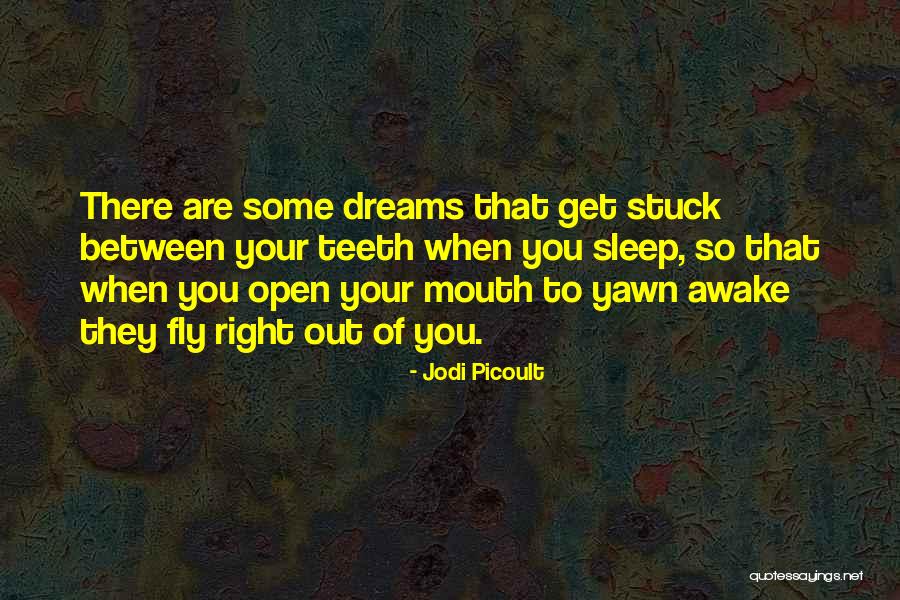 Kahoru Kohiruimaki Quotes By Jodi Picoult Kahoru Kohiruimaki Quotes By Jodi Picoult