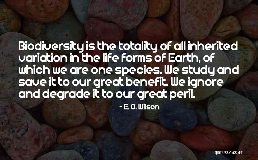 Kahramanlar Okulu Quotes By E. O. Wilson Kahramanlar Okulu Quotes By E. O. Wilson