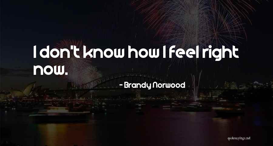 Kahramanlar Takimi Quotes By Brandy Norwood Kahramanlar Takimi Quotes By Brandy Norwood
