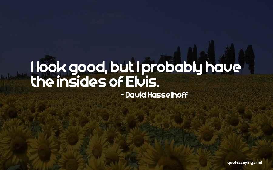Kahwaji Cranes Quotes By David Hasselhoff Kahwaji Cranes Quotes By David Hasselhoff