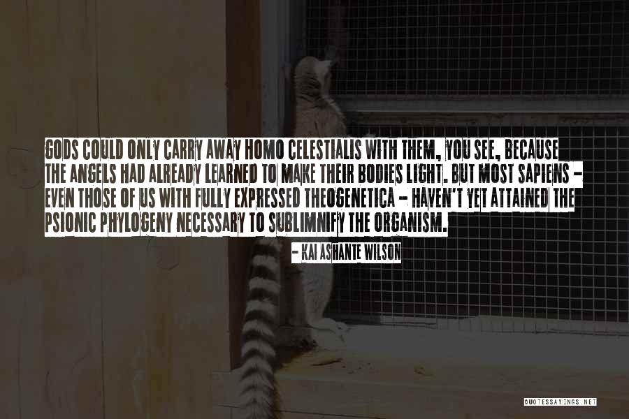 Kai Ashante Wilson Quotes 1017938 Kai Ashante Wilson Quotes 1017938