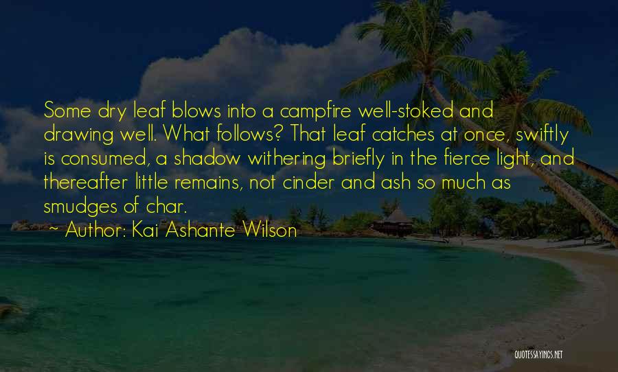 Kai Ashante Wilson Quotes 459467