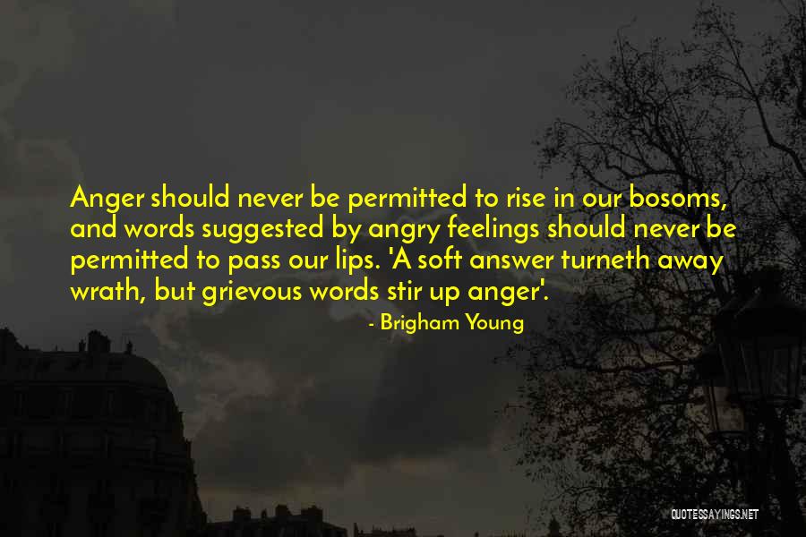 Kaidan Alenko Quotes By Brigham Young Kaidan Alenko Quotes By Brigham Young