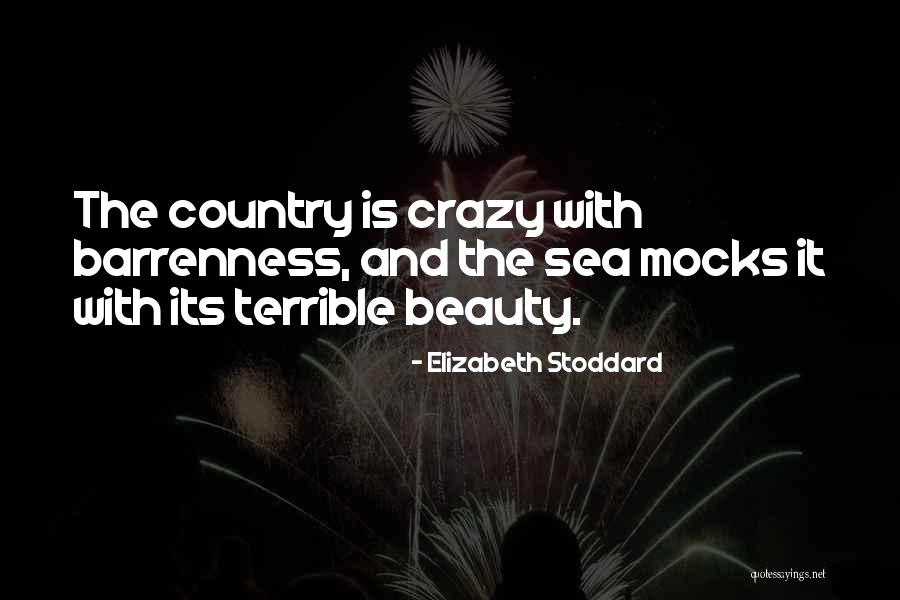 Kaider Road Quotes By Elizabeth Stoddard Kaider Road Quotes By Elizabeth Stoddard