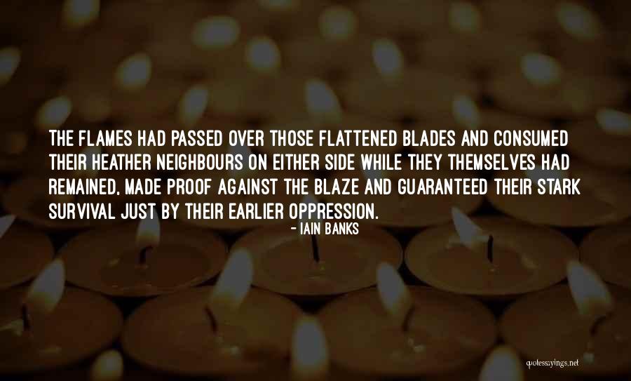 Kaimito Quotes By Iain Banks Kaimito Quotes By Iain Banks