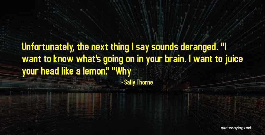 Kais Saied Quotes By Sally Thorne Kais Saied Quotes By Sally Thorne