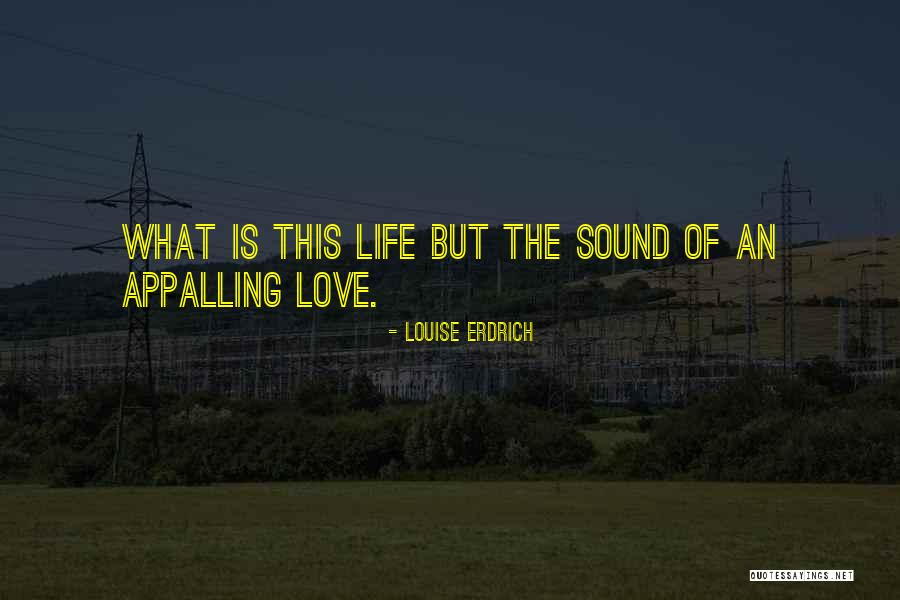 Kaitie Vader Quotes By Louise Erdrich Kaitie Vader Quotes By Louise Erdrich