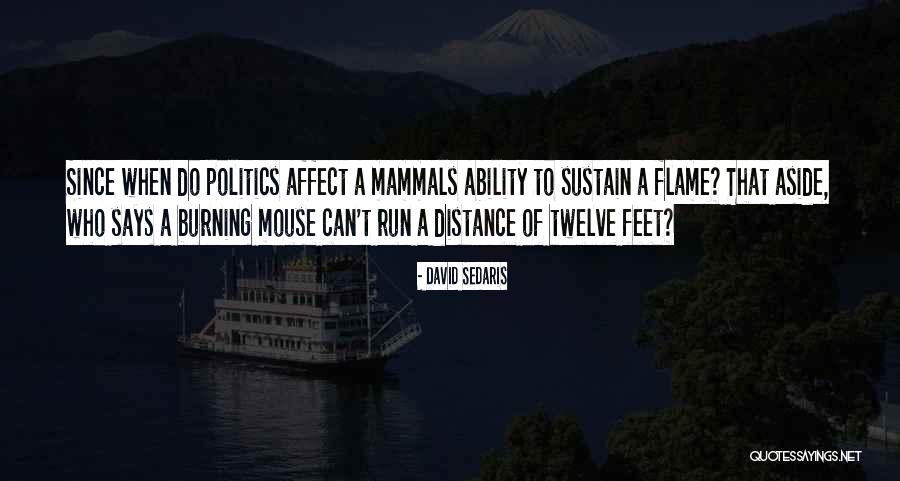 Kaitland Collins Quotes By David Sedaris Kaitland Collins Quotes By David Sedaris