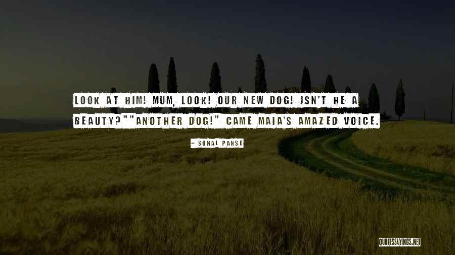 Kaitland Sweet Quotes By Sonal Panse Kaitland Sweet Quotes By Sonal Panse