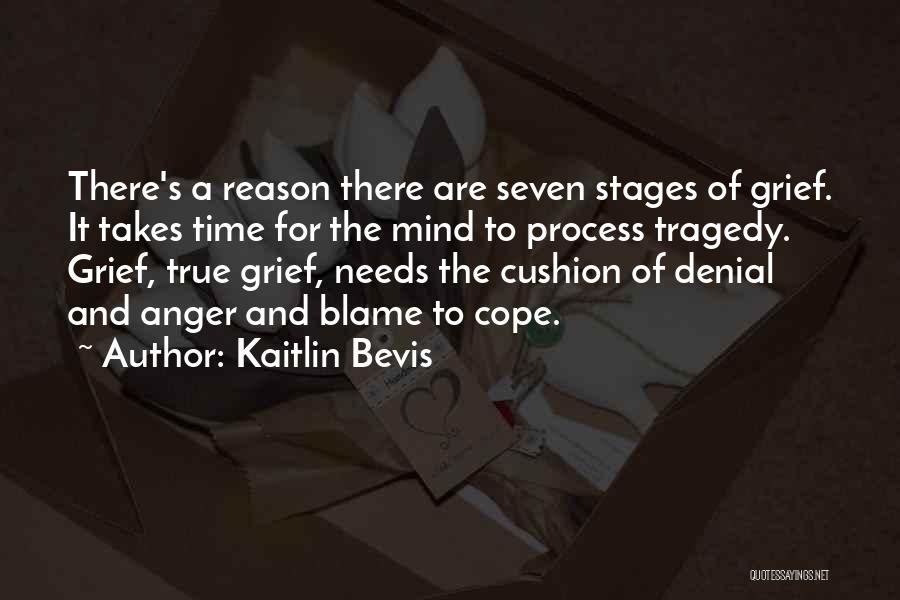 Kaitlin Bevis Quotes 2192749