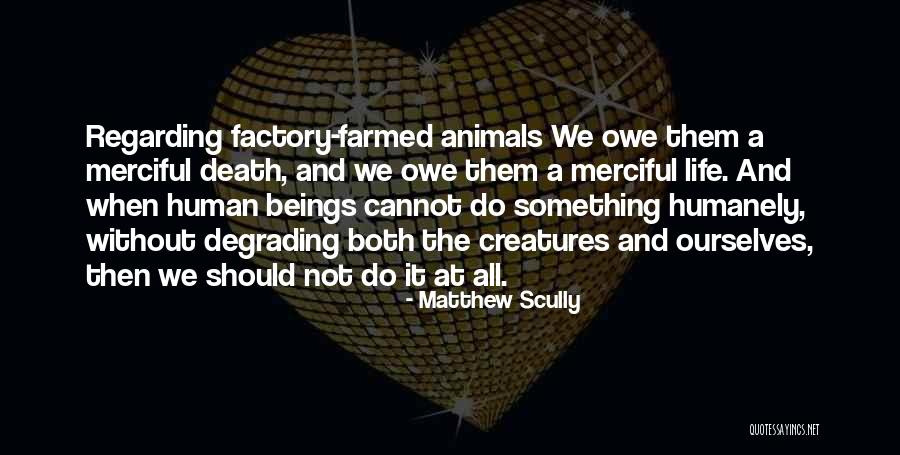 Kajuana Brooks Quotes By Matthew Scully Kajuana Brooks Quotes By Matthew Scully