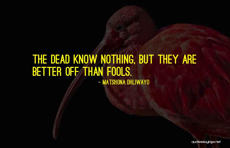 Kakani Quotes By Matshona Dhliwayo Kakani Quotes By Matshona Dhliwayo