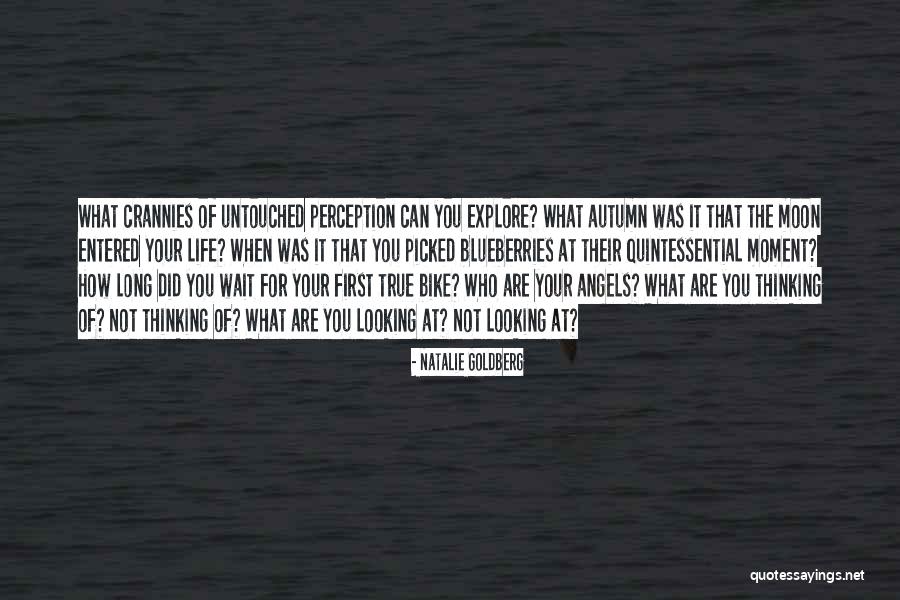 Kakehashi Sayaka Quotes By Natalie Goldberg Kakehashi Sayaka Quotes By Natalie Goldberg