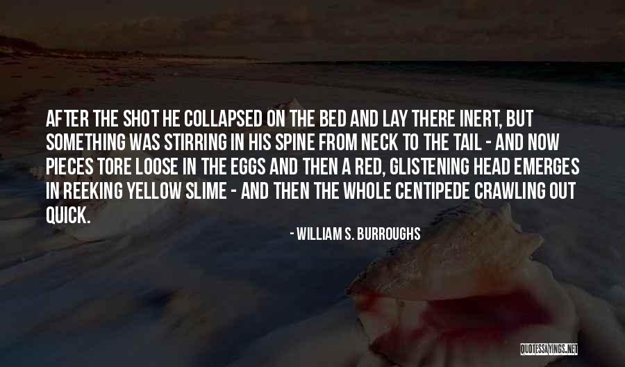 Kalamarakia Quotes By William S. Burroughs Kalamarakia Quotes By William S. Burroughs