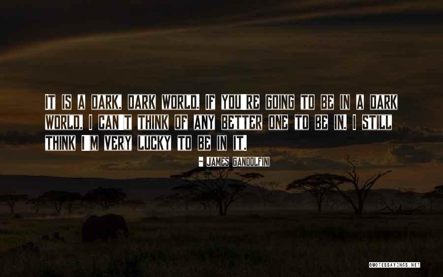 Kalcija Nitrats Quotes By James Gandolfini Kalcija Nitrats Quotes By James Gandolfini