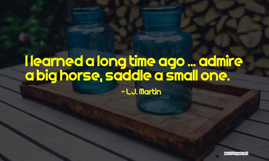 Kaleidoscopes Handmade Quotes By L.J. Martin Kaleidoscopes Handmade Quotes By L.J. Martin