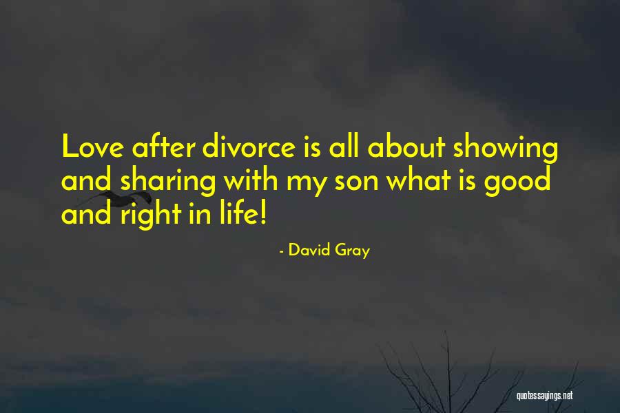 Kaleyesque Quotes By David Gray Kaleyesque Quotes By David Gray