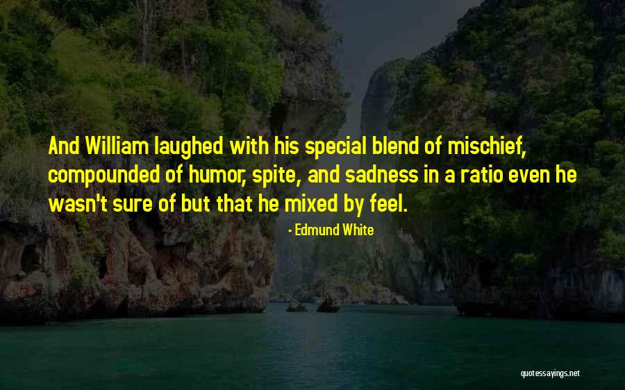 Kaliber Innovations Quotes By Edmund White Kaliber Innovations Quotes By Edmund White