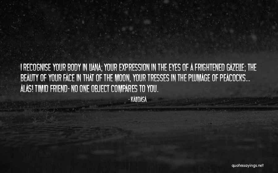 Kalidasa Quotes 522272 Kalidasa Quotes 522272