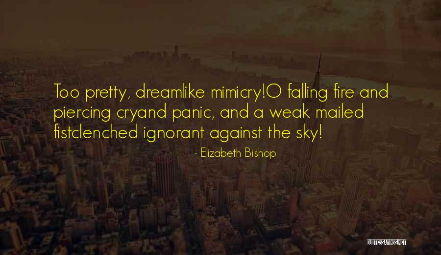 Kalkine Quotes By Elizabeth Bishop Kalkine Quotes By Elizabeth Bishop