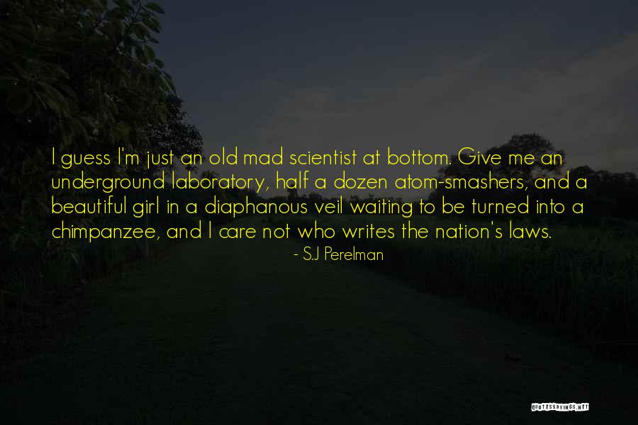 Kalkoen Quotes By S.J Perelman Kalkoen Quotes By S.J Perelman