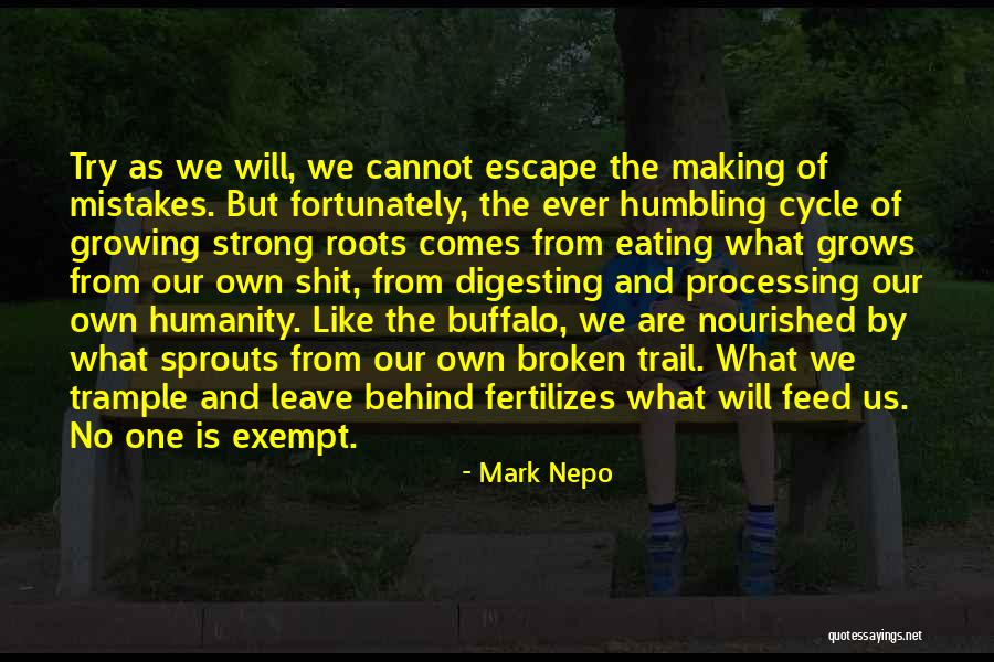 Kalksalt Quotes By Mark Nepo Kalksalt Quotes By Mark Nepo