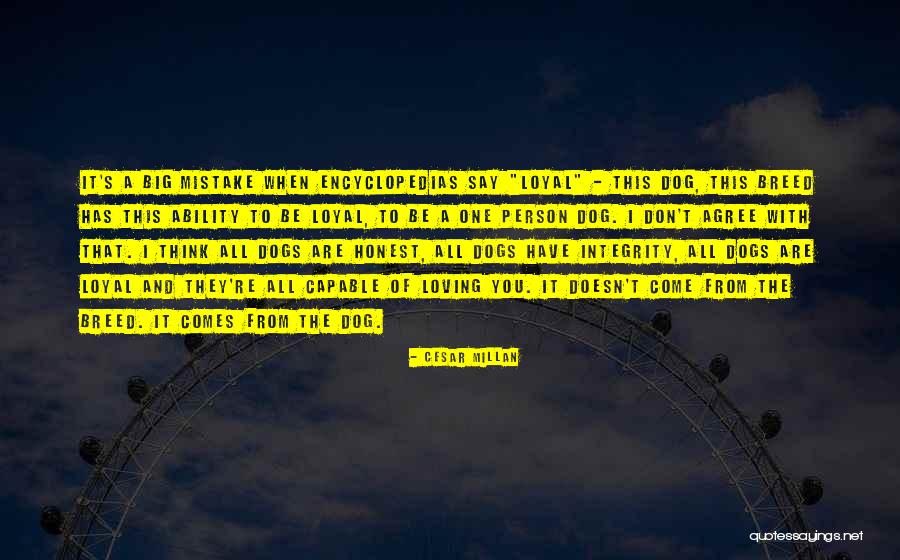 Kallakathal Quotes By Cesar Millan Kallakathal Quotes By Cesar Millan