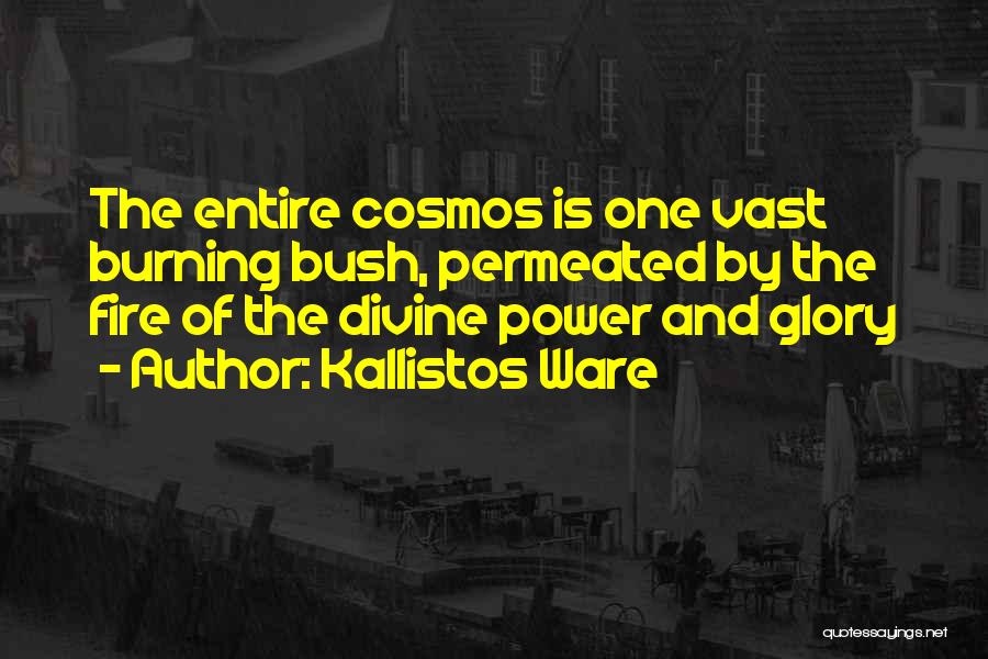 Kallistos Ware Quotes 2186035